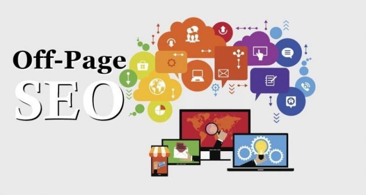 seo trang web