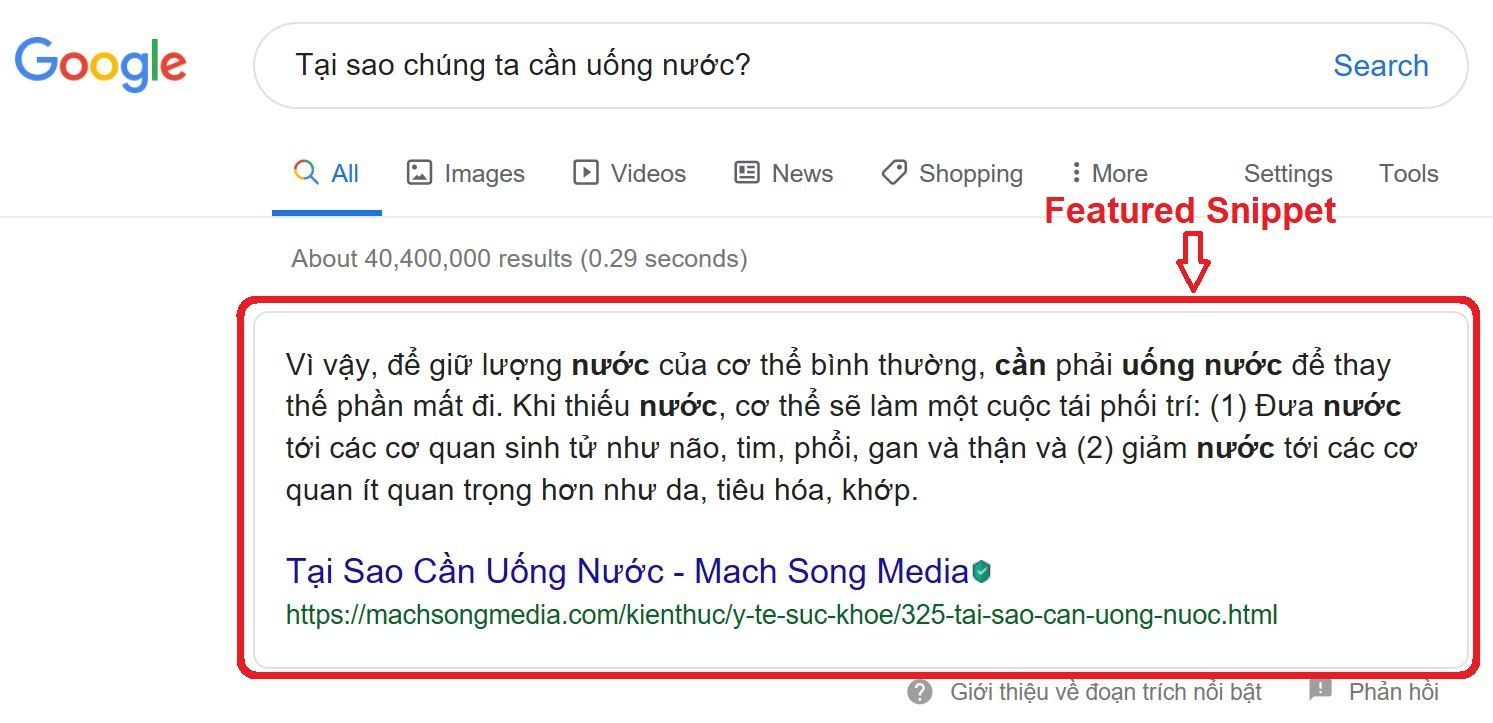 xu hướng seo năm 2022