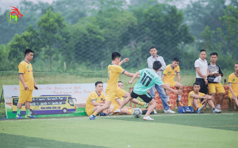 Dịch vụ quay chụp bóng đá