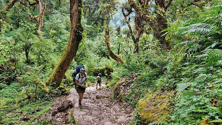 Địa điểm trekking nổi tiếng