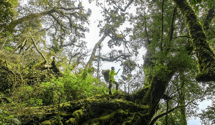 Địa điểm trekking nổi tiếng