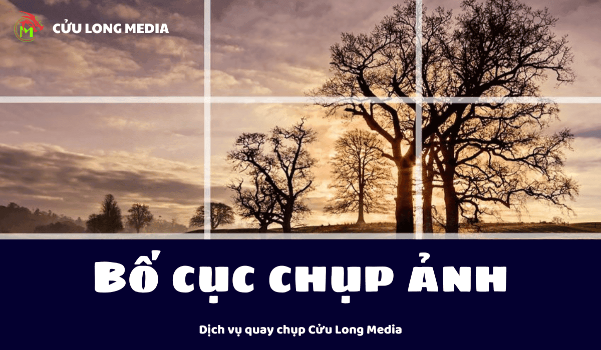 Các bố cục chụp ảnh đẹp và đơn giản