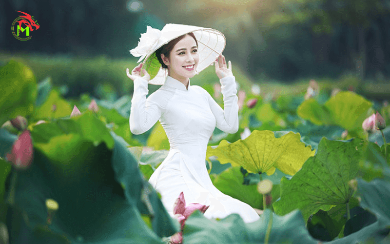Chụp hình với hoa sen