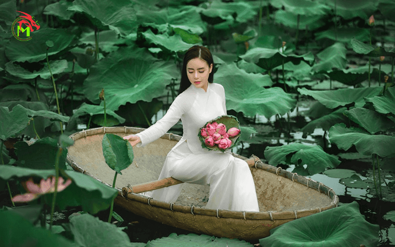 Chụp hình với hoa sen