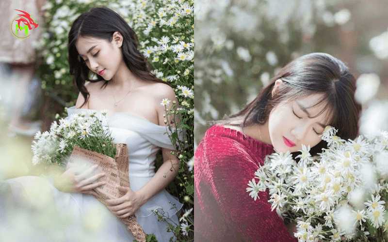Các kiểu tạo dáng chụp ảnh với cúc họa mi