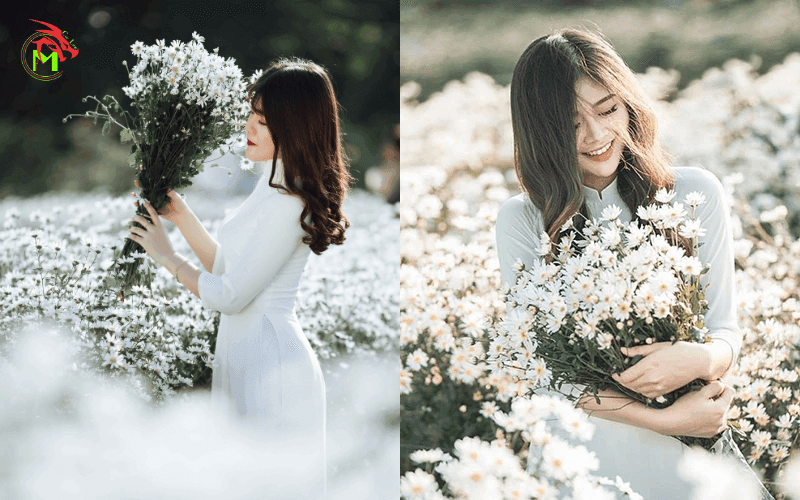 Các kiểu tạo dáng chụp ảnh với cúc họa mi
