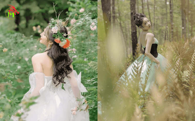 Chụp ảnh concept công chúa