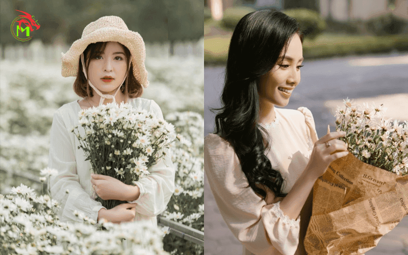 cách tạo dáng với cúc họa mi