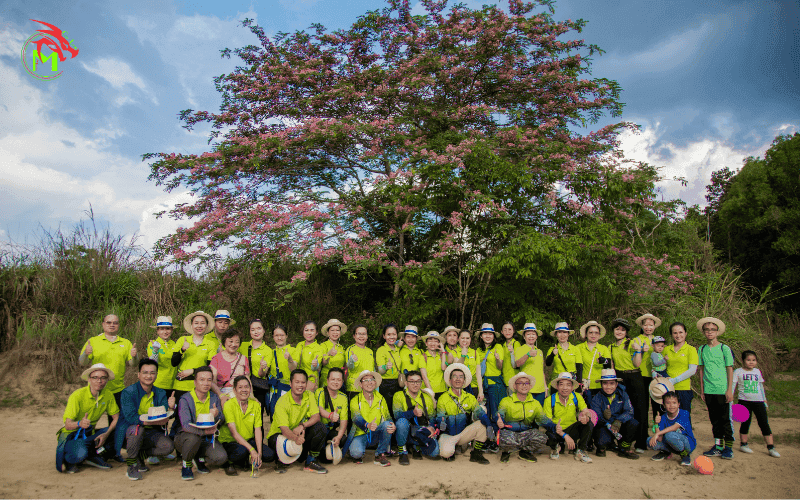 Quay chụp team building giá rẻ
