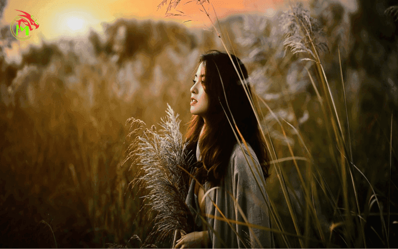Chụp ảnh ngược sáng như thế nào