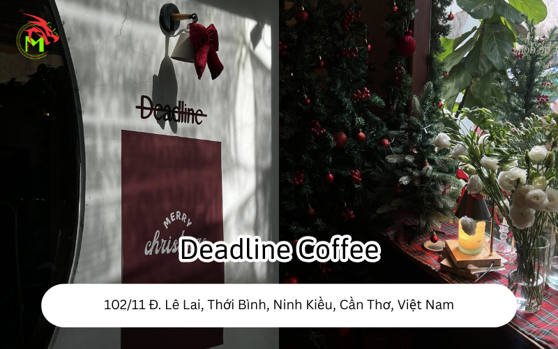 Địa Điểm Chụp Ảnh Noel Tại Cần Thơ