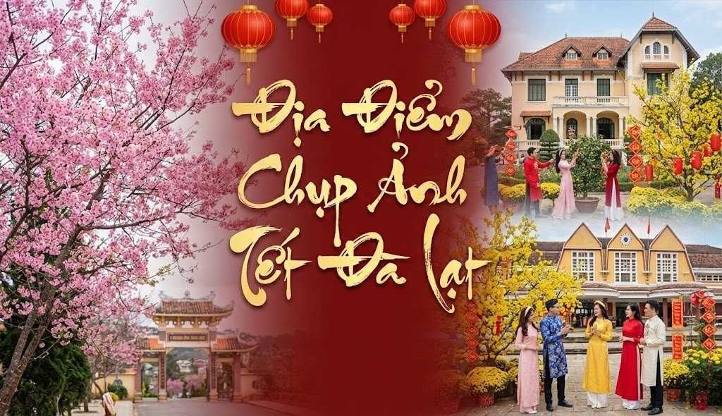 Top 15+ Địa Điểm Chụp Ảnh Tết Đà Lạt 2026 Đẹp "Quên Lối Về" (Cập Nhật Mới Nhất)