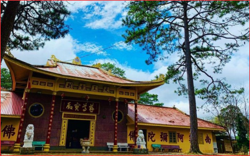 Địa điểm chụp ảnh tết đà lạt