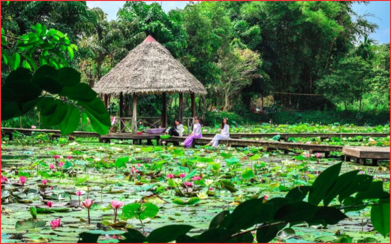 Địa điểm chụp ảnh tết đồng tháp