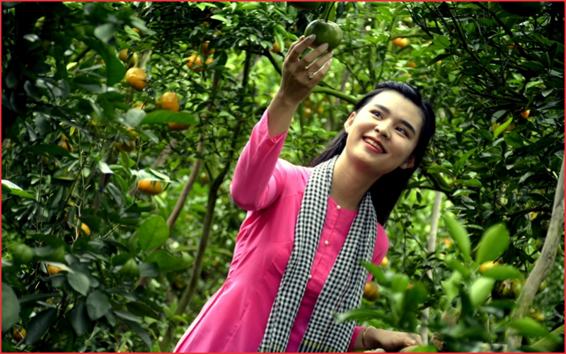 Địa điểm chụp ảnh tết đồng tháp
