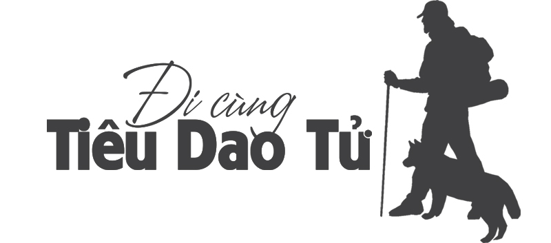ĐỐI TÁC 11 Logo TDT grey1