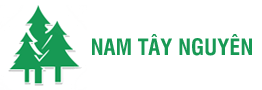 ĐỐI TÁC 14 logo rung nam tay nguyen