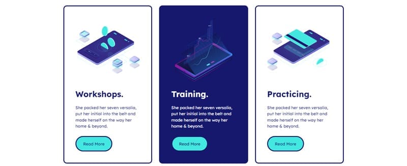 template website company wallet hinh 5