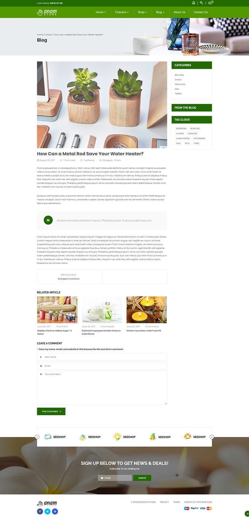 template website health anam blogdetail