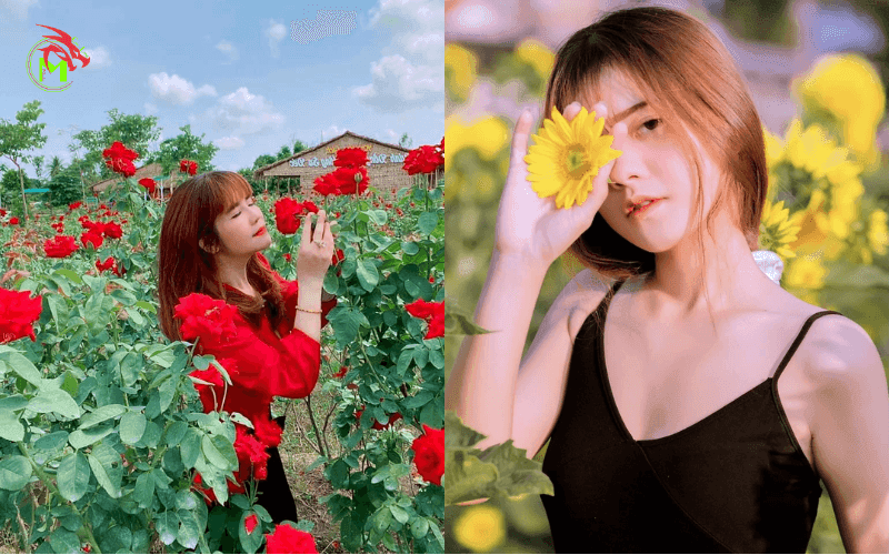 Chụp hình với hoa