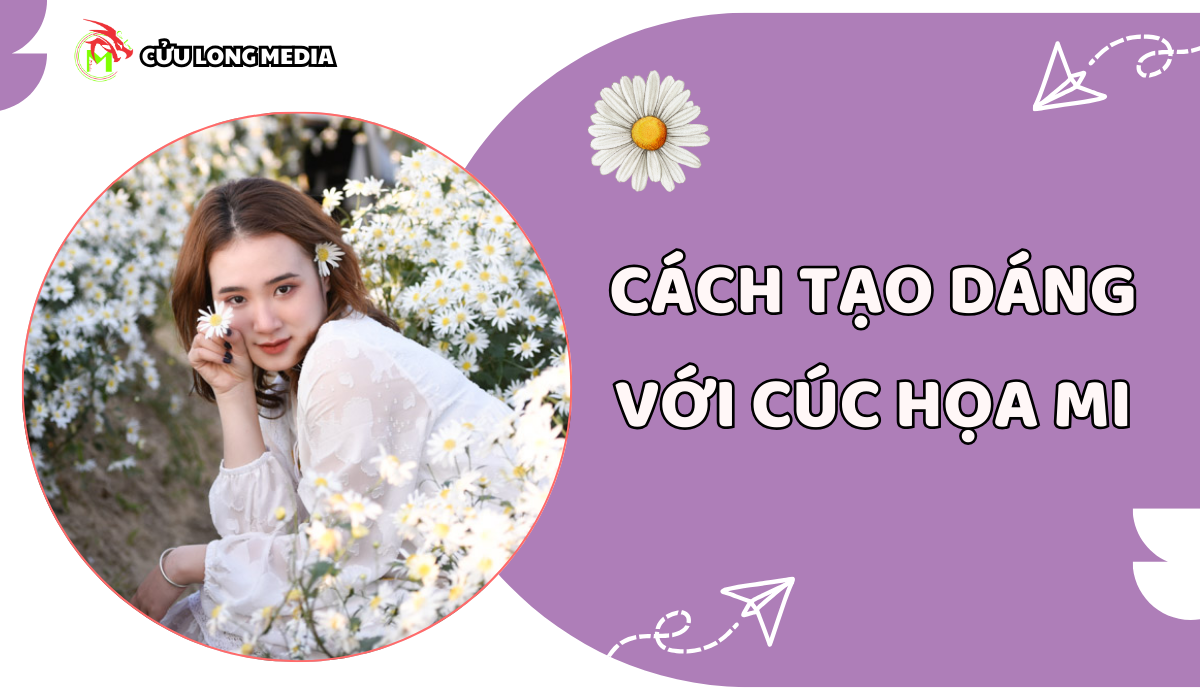 cách tạo dáng với cúc họa mi