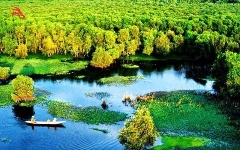 Quay phim flycam tại đồng tháp