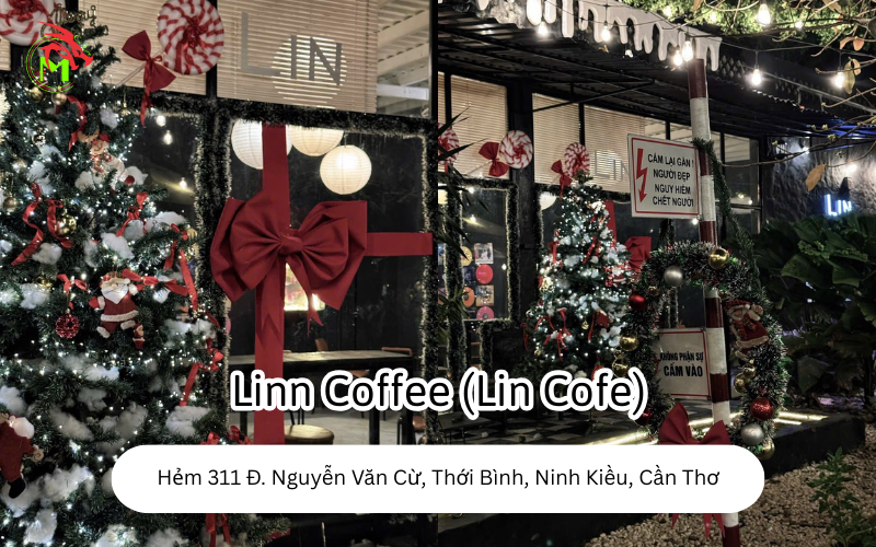 Địa Điểm Chụp Ảnh Noel Tại Cần Thơ