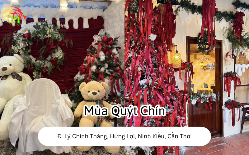 Địa Điểm Chụp Ảnh Noel Tại Cần Thơ