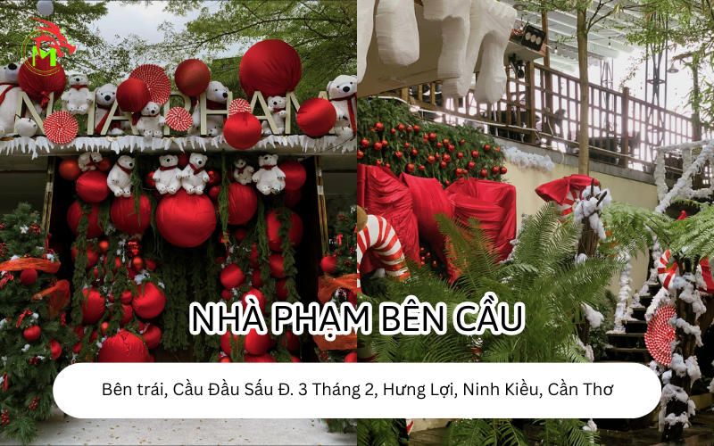 Địa Điểm Chụp Ảnh Noel Tại Cần Thơ