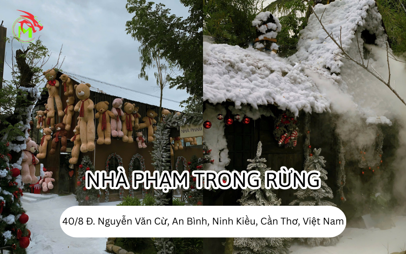 Địa Điểm Chụp Ảnh Noel Tại Cần Thơ