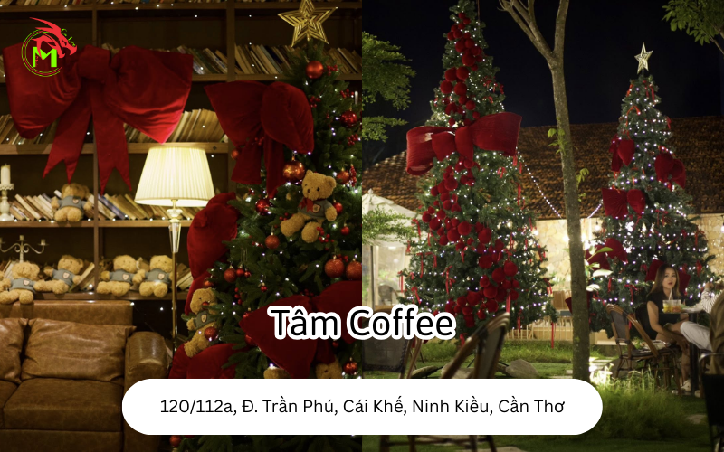 Địa Điểm Chụp Ảnh Noel Tại Cần Thơ