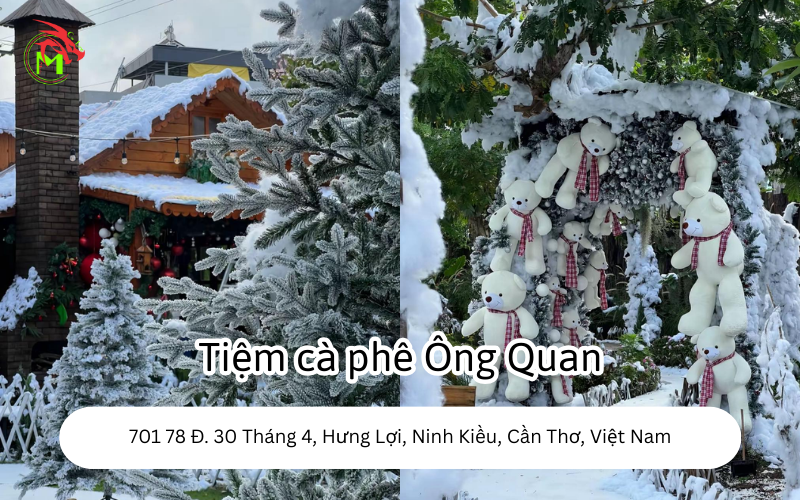 Địa Điểm Chụp Ảnh Noel Tại Cần Thơ
