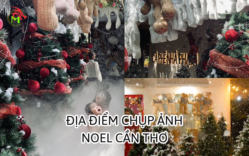 Địa điểm chụp ảnh noel cần thơ