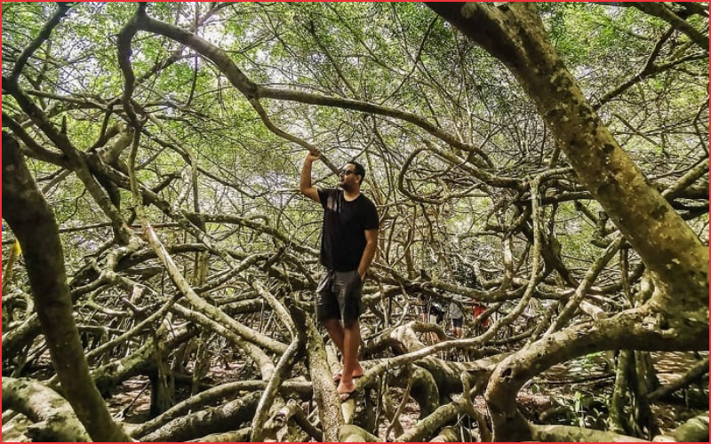 Địa điểm check in cần thơ siêu đẹp